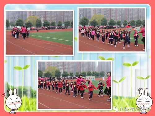 阳光下我们一起成长 芜湖市万春路幼儿园第三届亲子运动会纪实